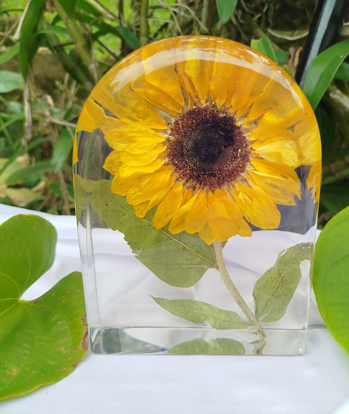 Girassol preservado em bloco transparente de resina
