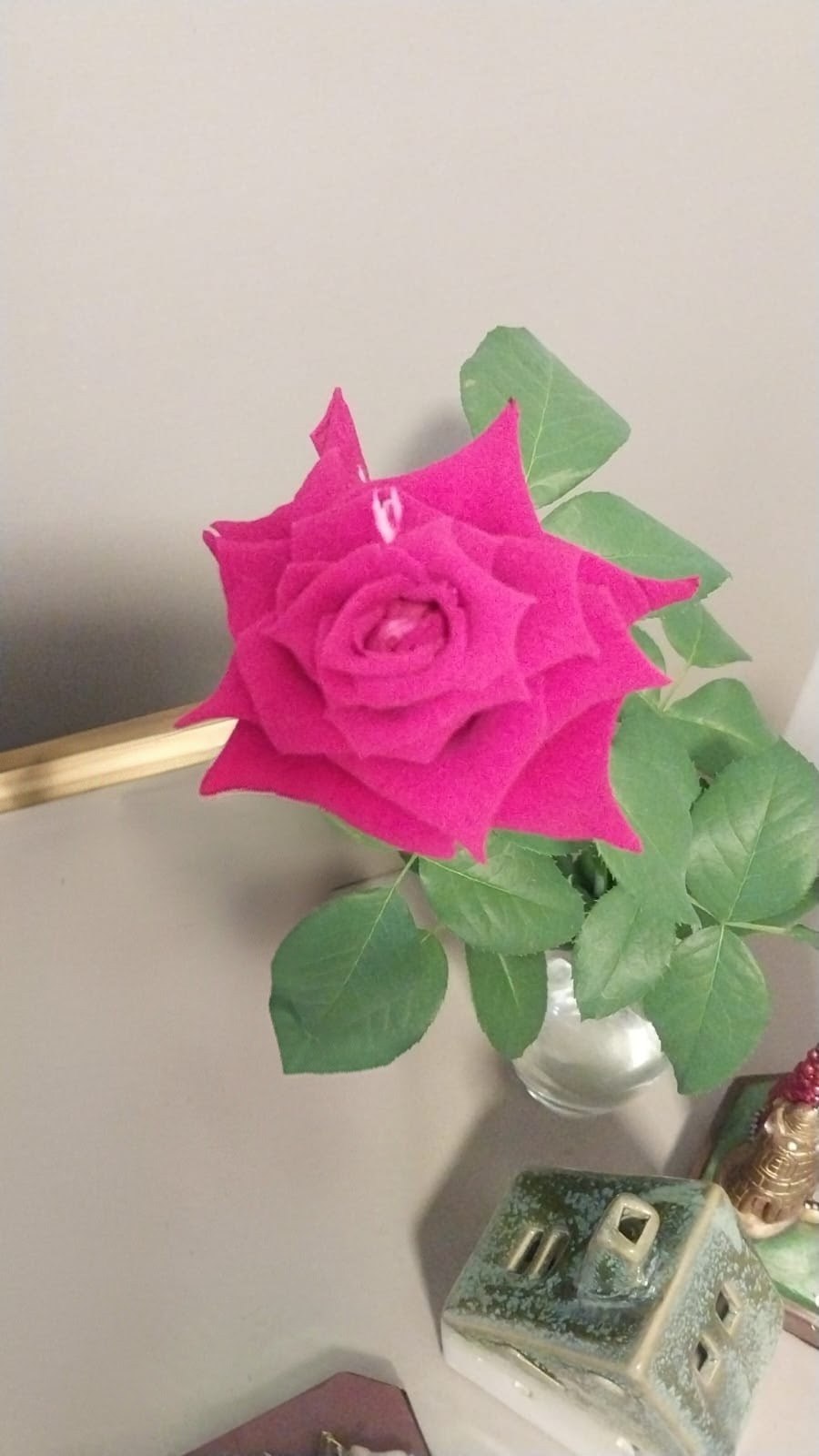 Rosa rosa em um vaso